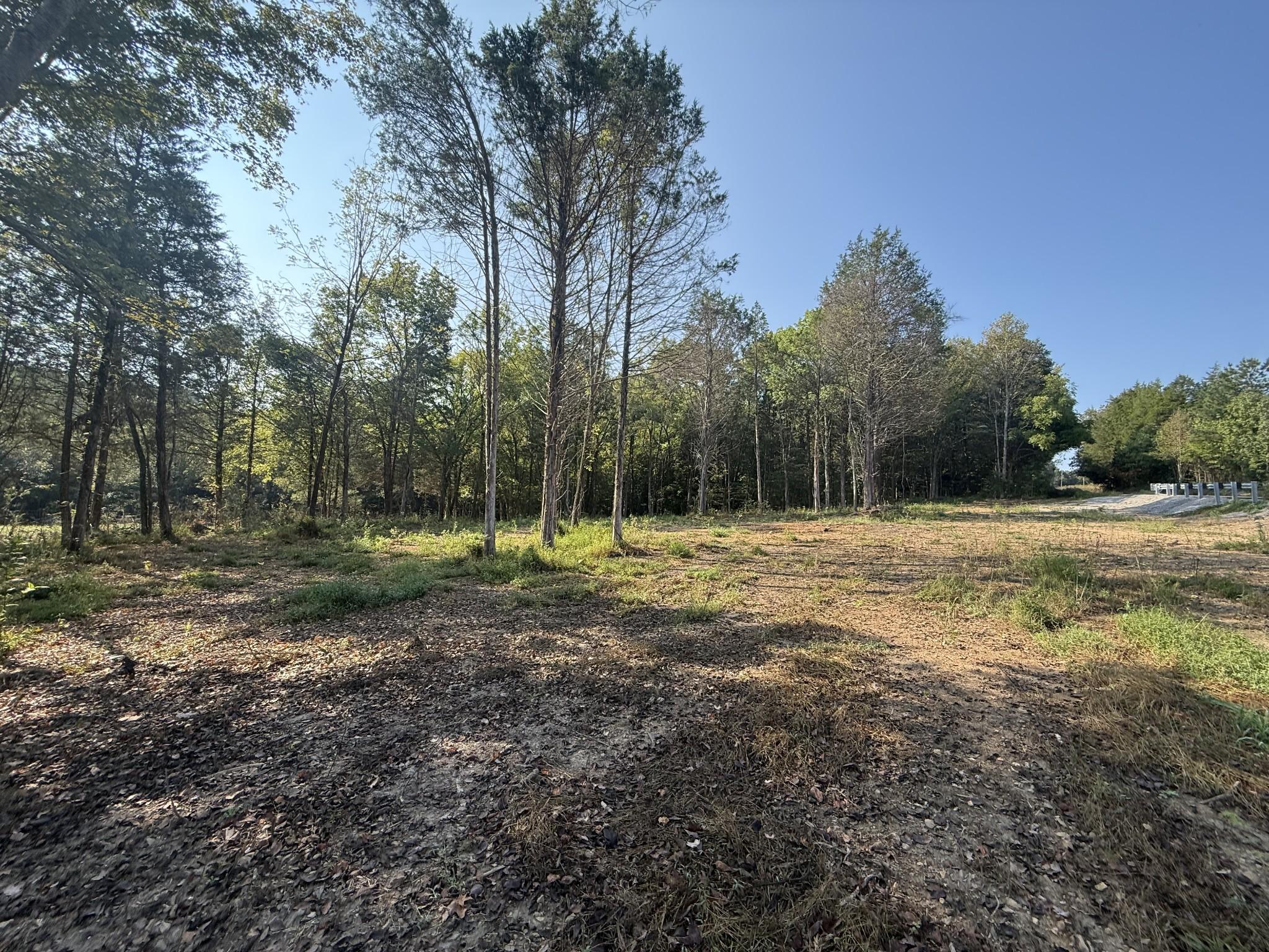 Image 2 Image 2