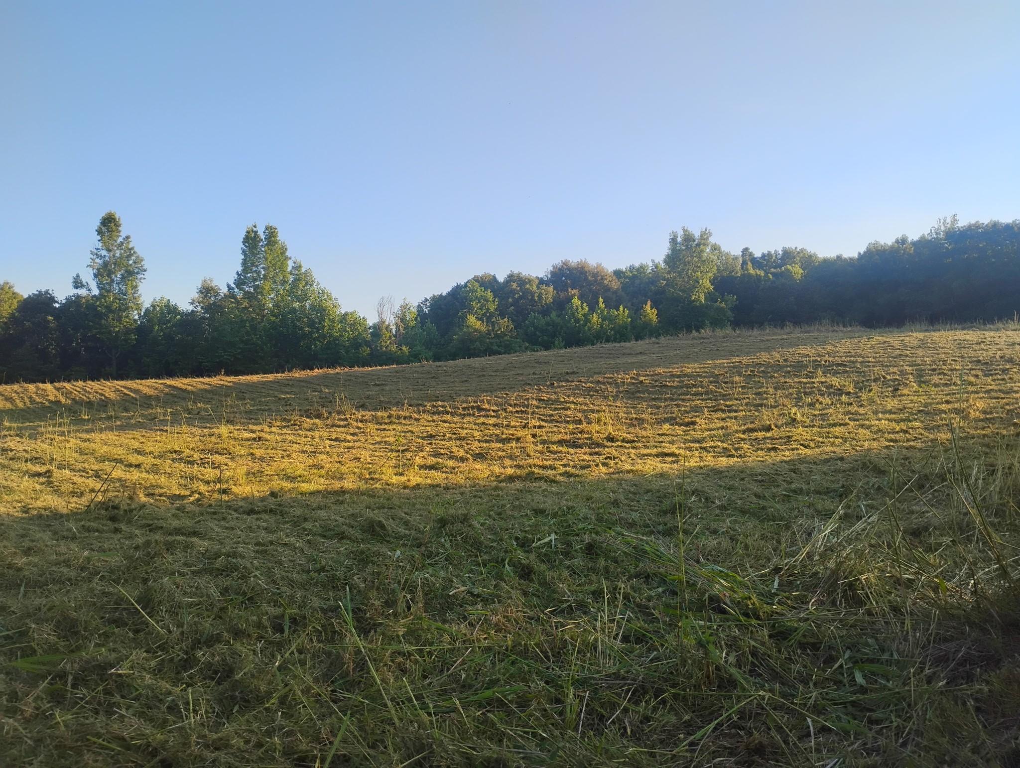 Image 4 Image 4