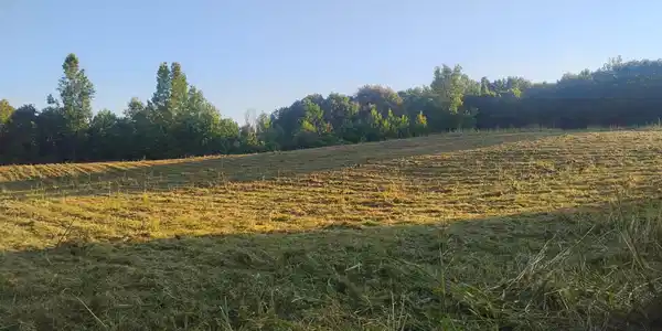 Image 4 Image 4
