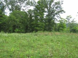 29 .95ac New Highway 52 E