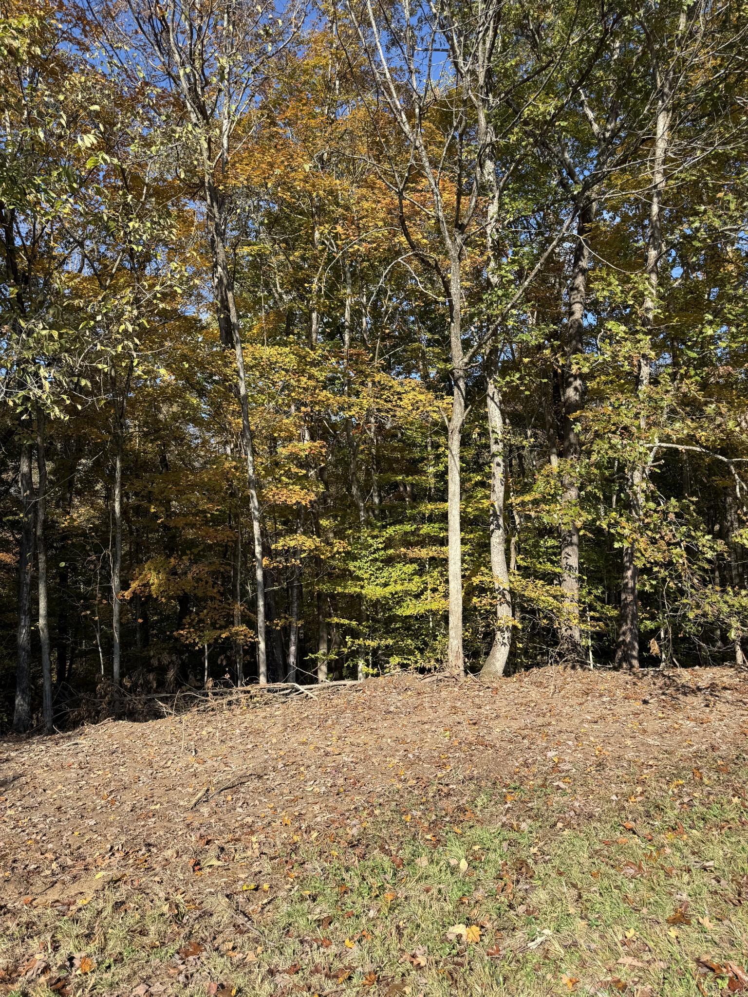 Image 3 Image 3