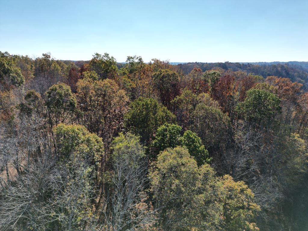 Image 4 Image 4