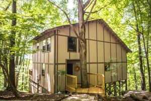 1007 Cove Hollow Rd