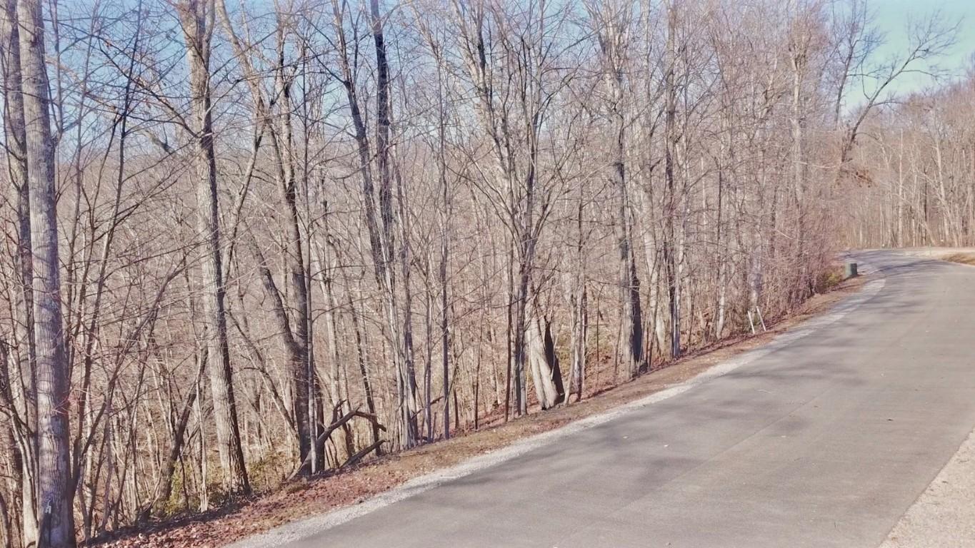 Image 3 Image 3