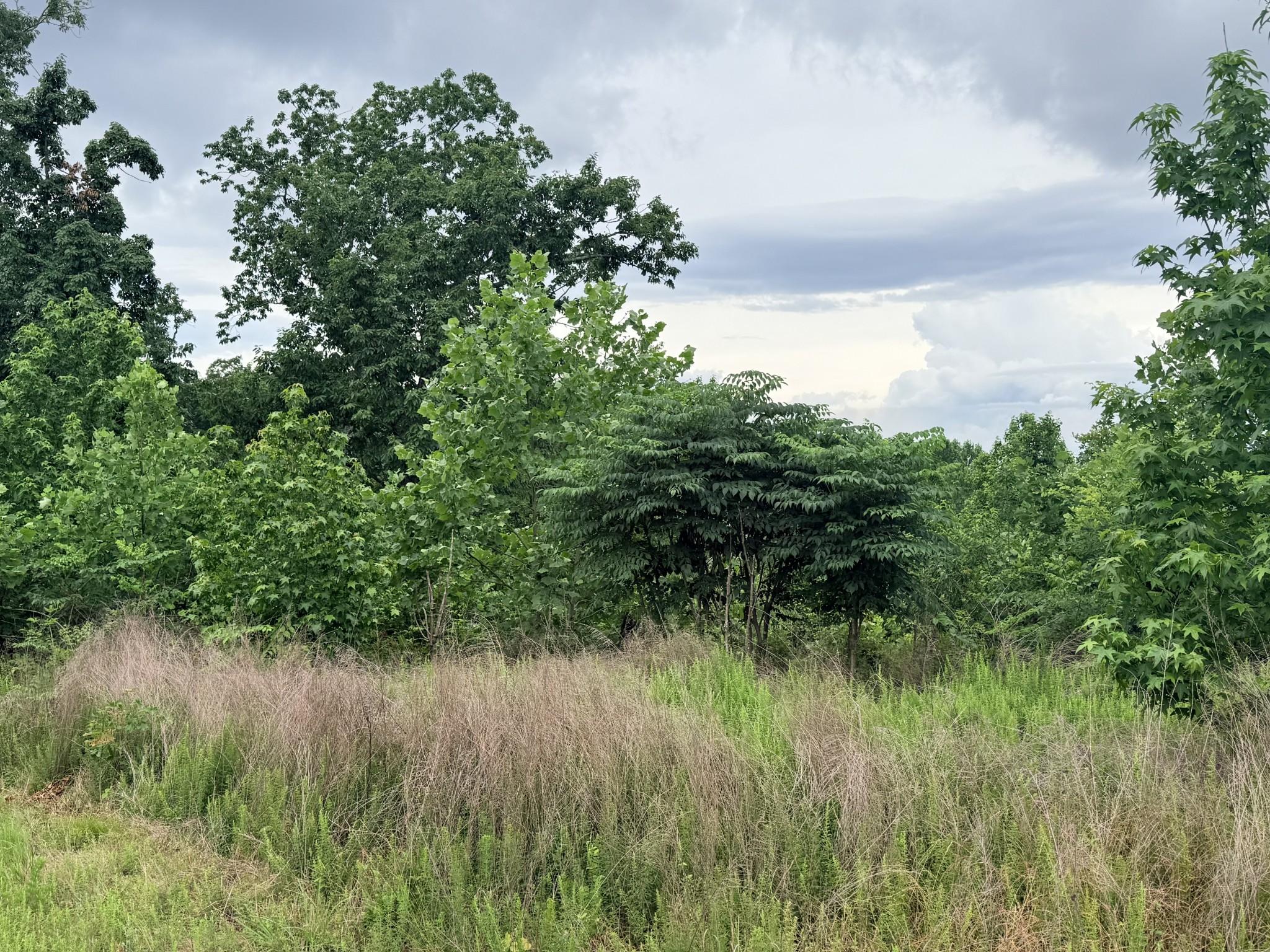 Image 4 Image 4