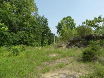 0 Livingston Hwy Loop