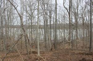 0 Saline Trail