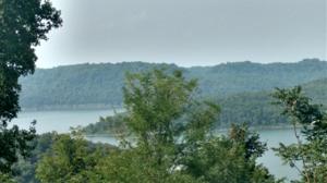79 Williamson Cir