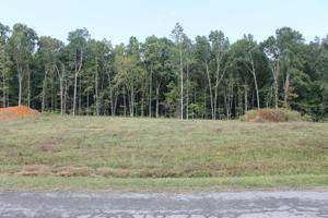 0 Caldwell Dr Lot 2