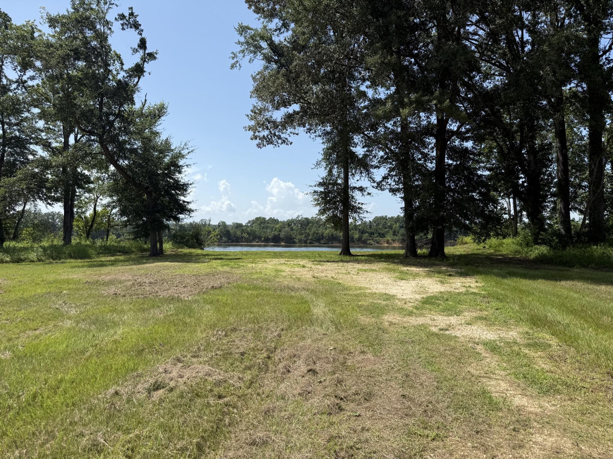 Image 4 Image 4