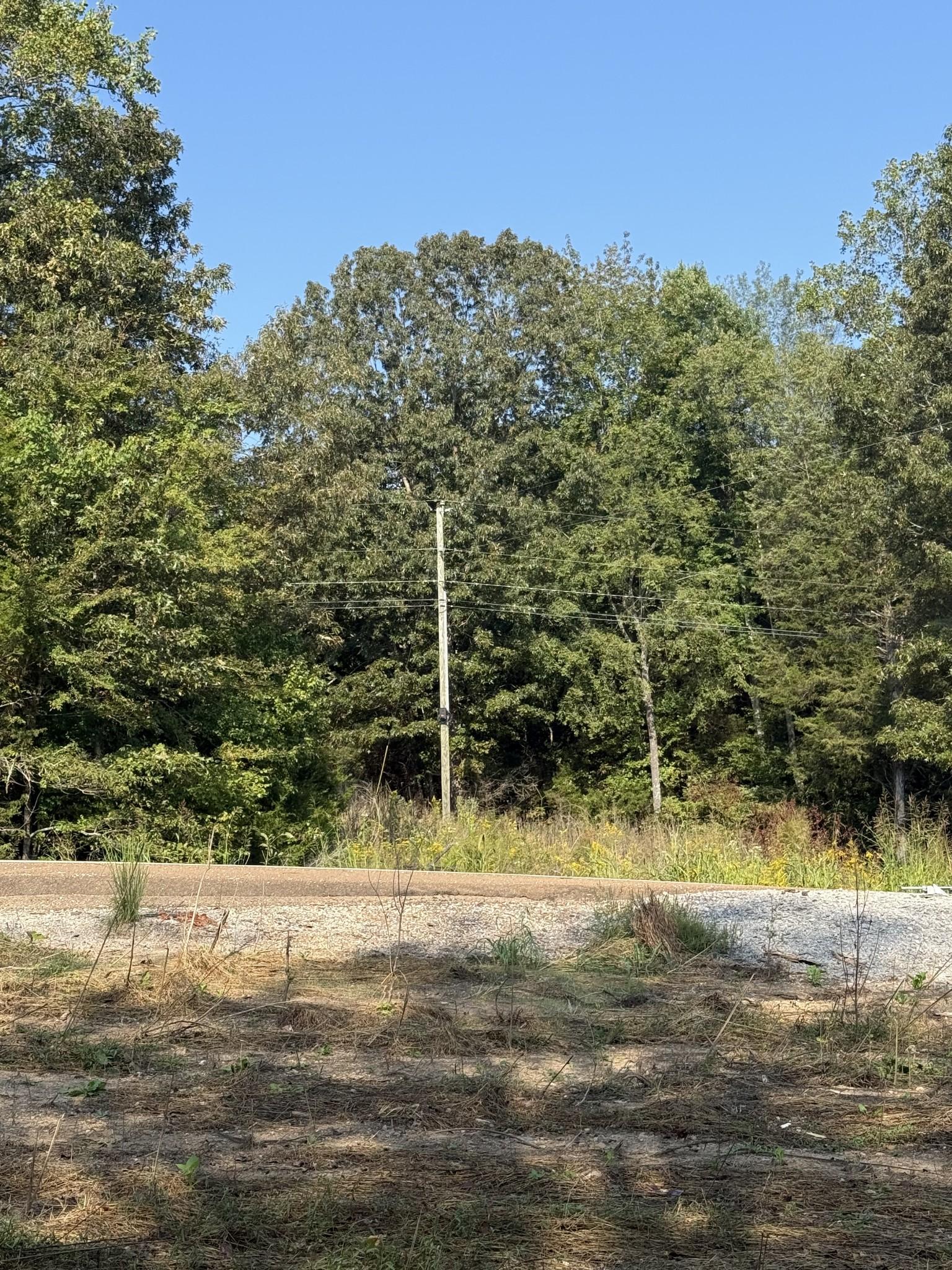 Image 3 Image 3