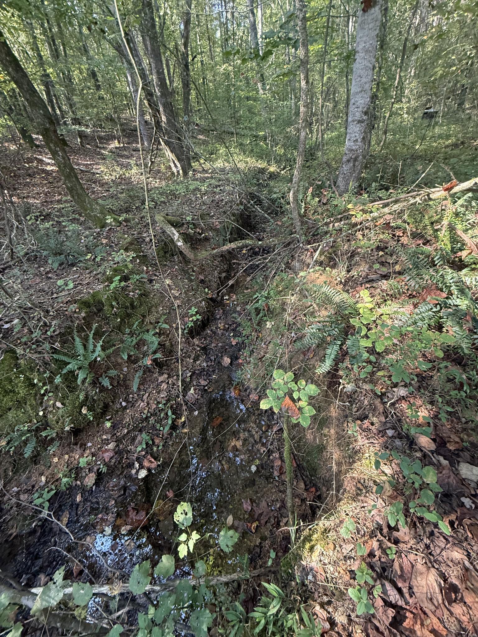 Image 4 Image 4