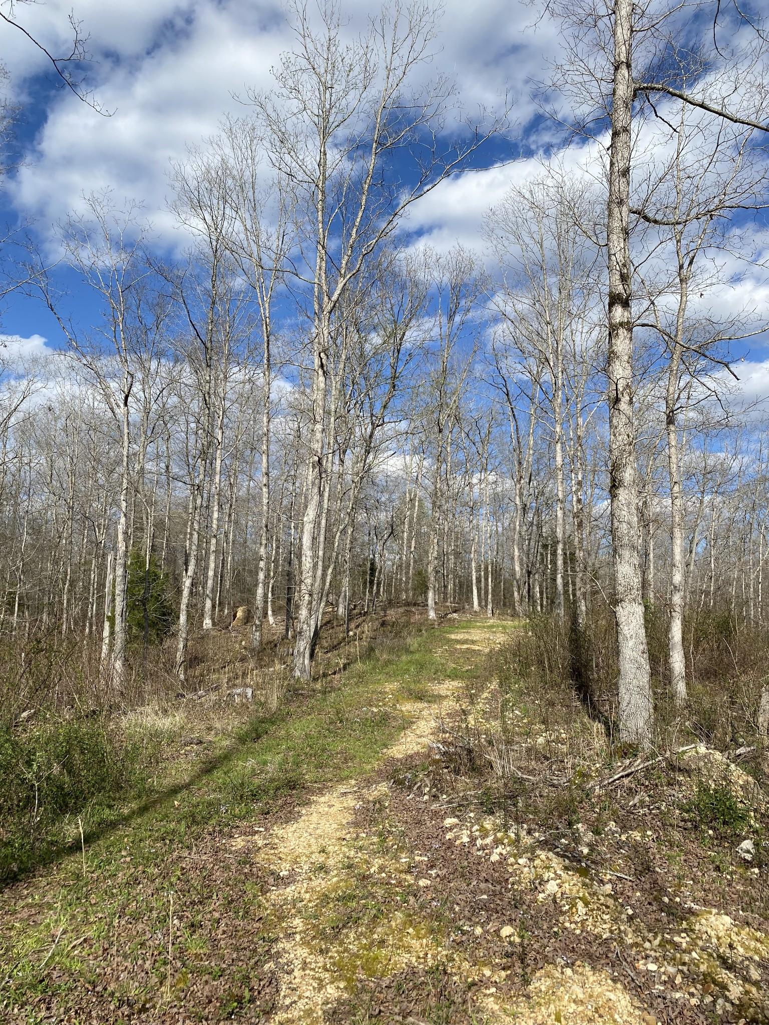 Image 2 Image 2