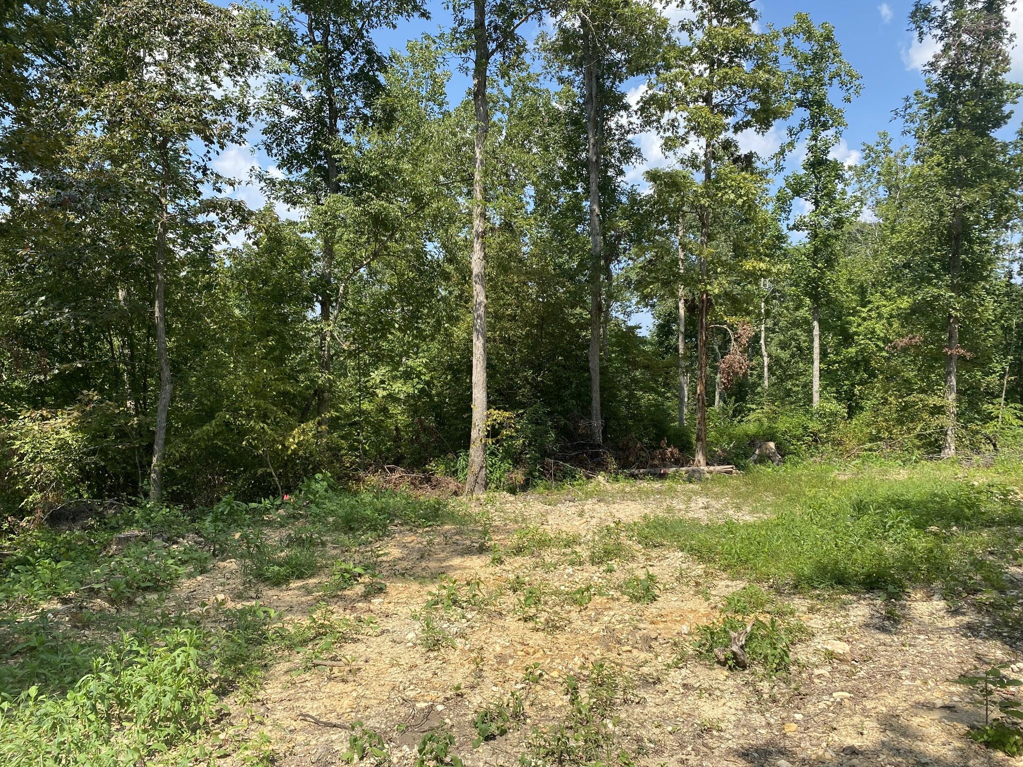 Image 4 Image 4
