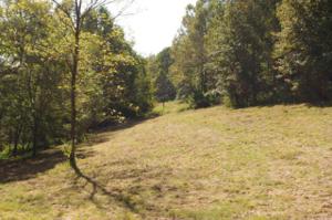 278 Defeated Creek Hwy