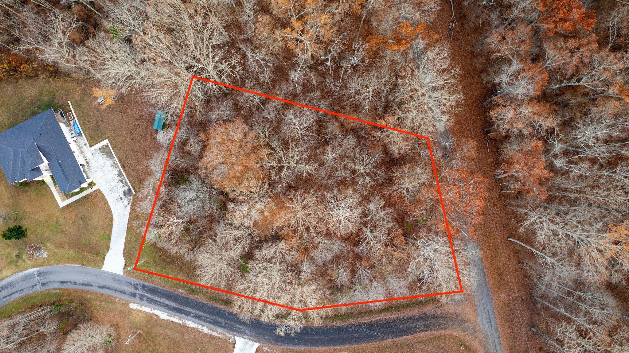 Image 2 Image 2