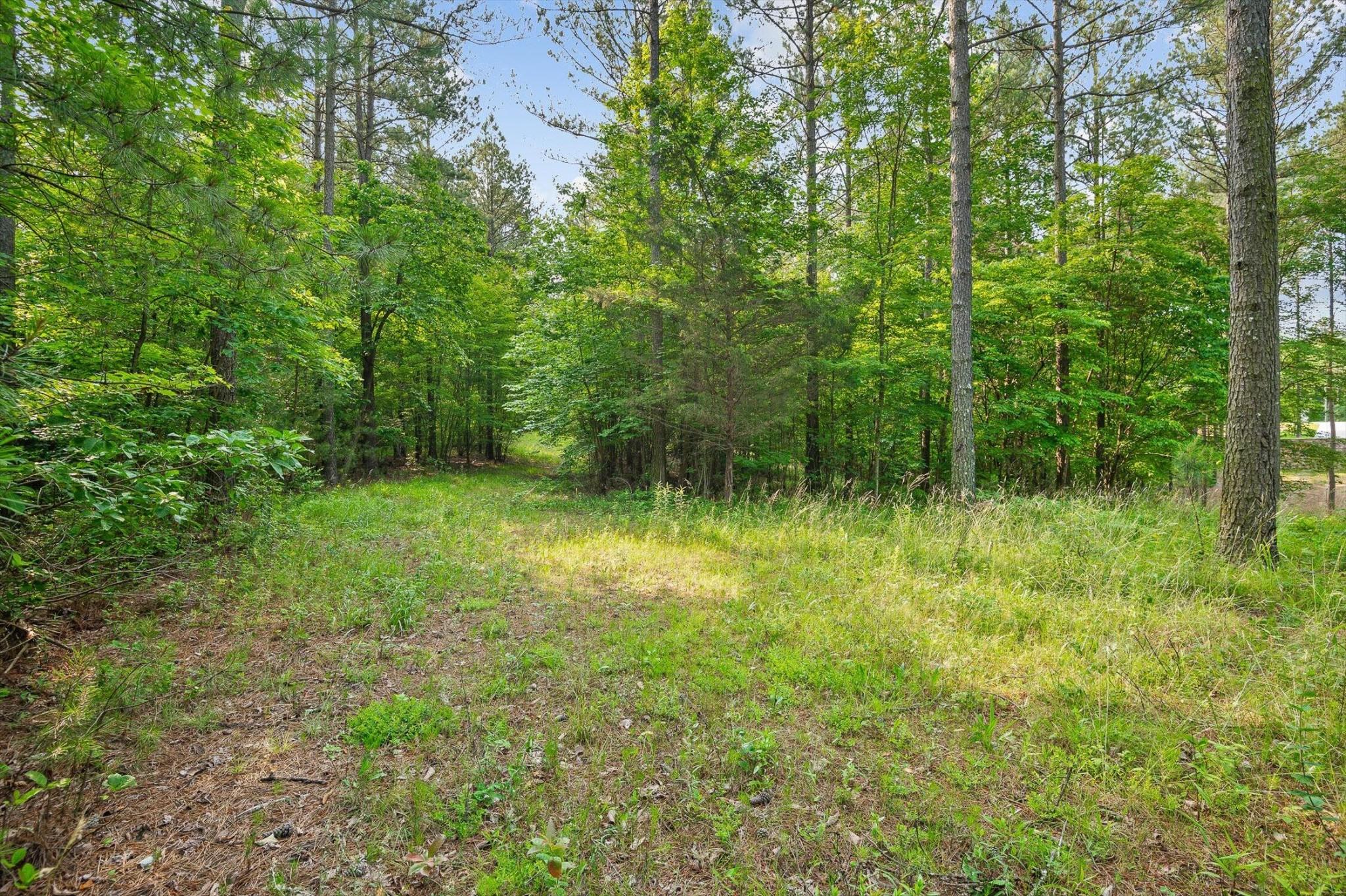 Image 1 Image 1