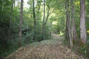 0 Coconut Ridge Rd