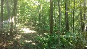 322 Woodcrest Dr. Lot 322