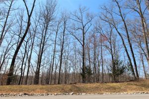 1 Harbor Green Pl - Lot 1 Sparta TN 38583