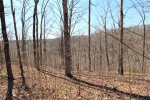2 Harbor Green Pl - Lot 2 Sparta TN 38583