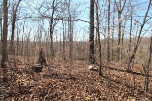 0 Harbor Green Pl - Lots 1&2 Sparta TN 38583