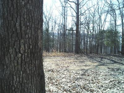 0 Eaglet Ct