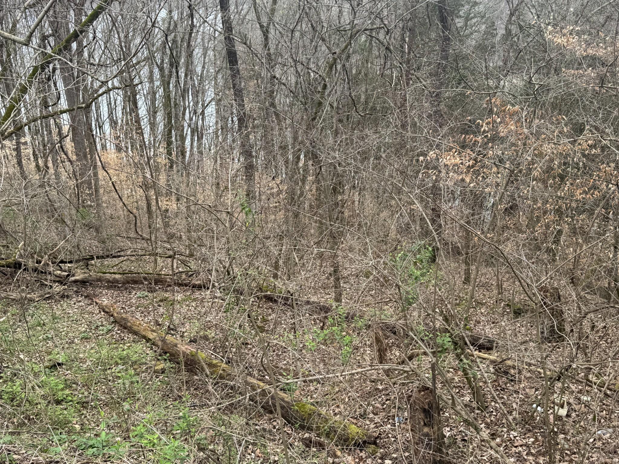 Image 1 Image 1