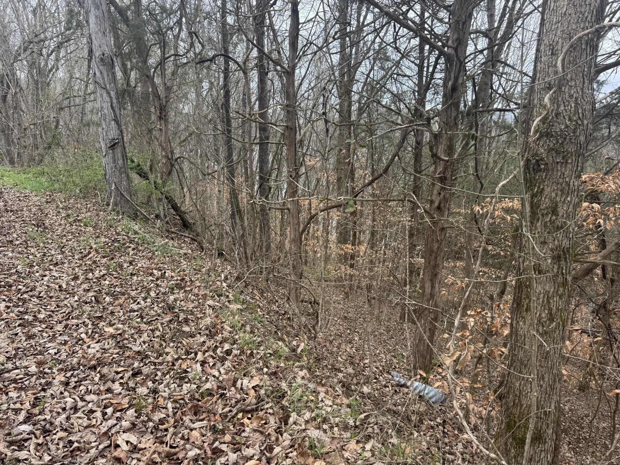 Image 3 Image 3
