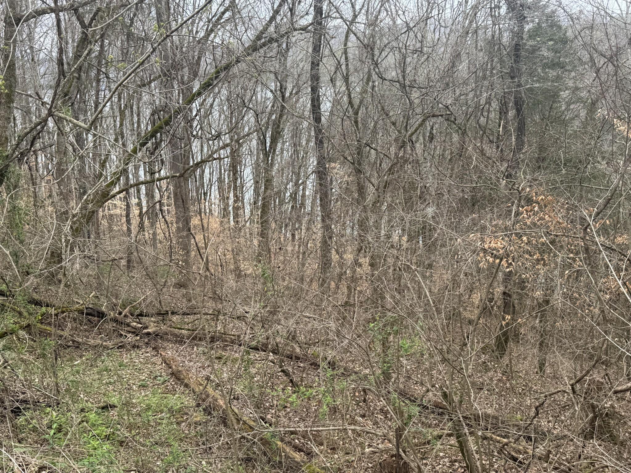 Image 4 Image 4