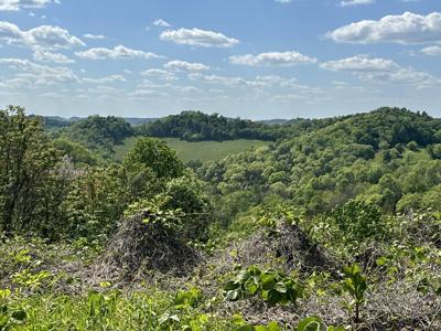 0 Dale Ridge Road