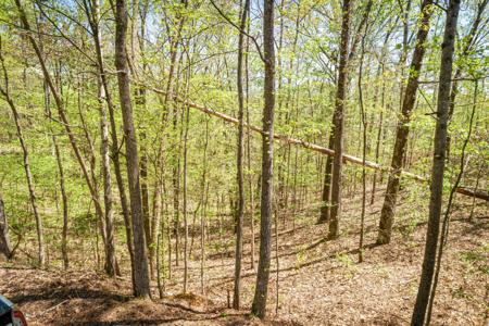 0 Fawn Ridge Rd