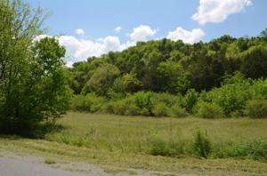 0 Hopkins Hollow Rd
