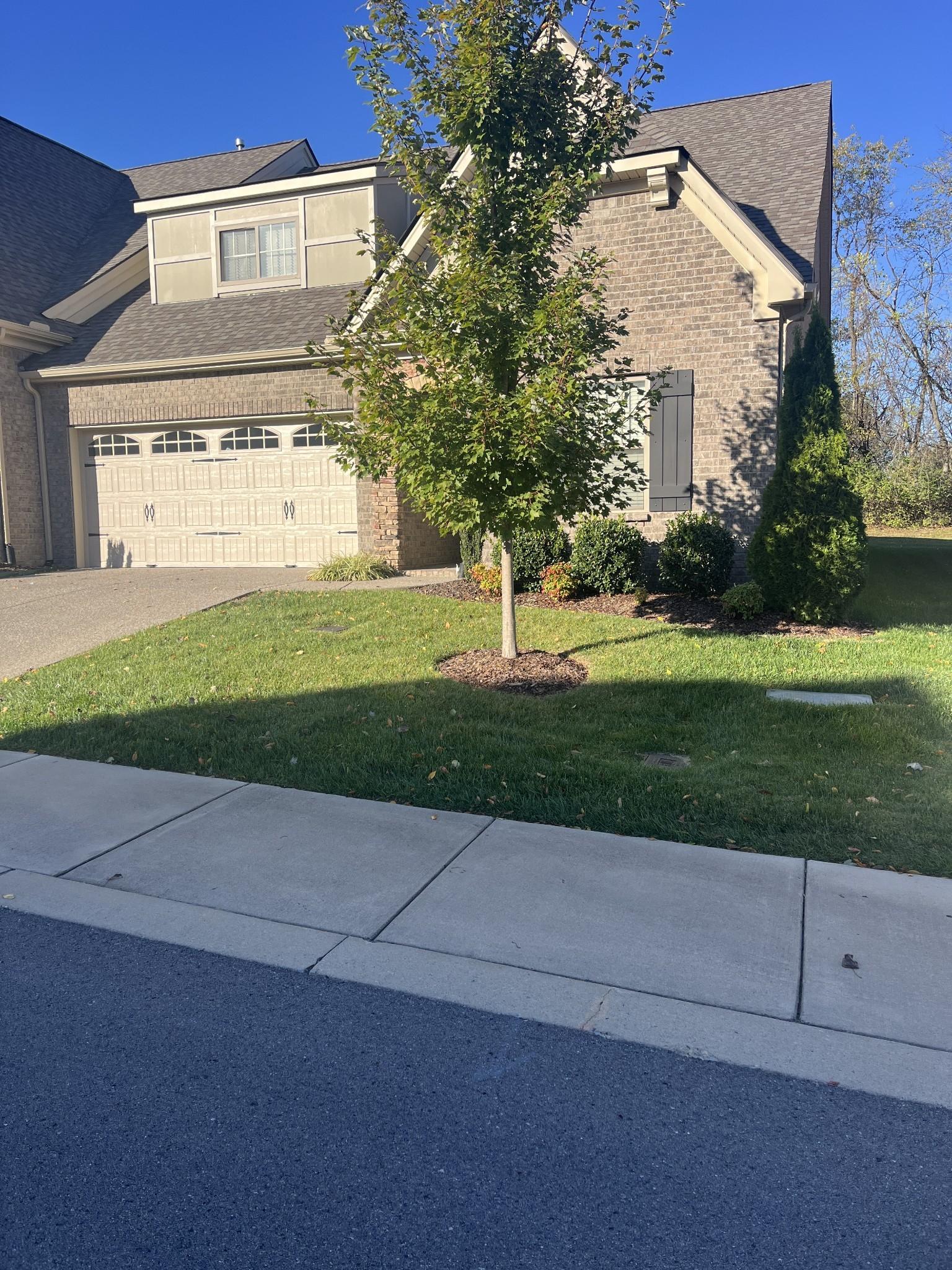 Image 4 Image 4