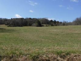 66 .01 Ac. Martin Creek Road