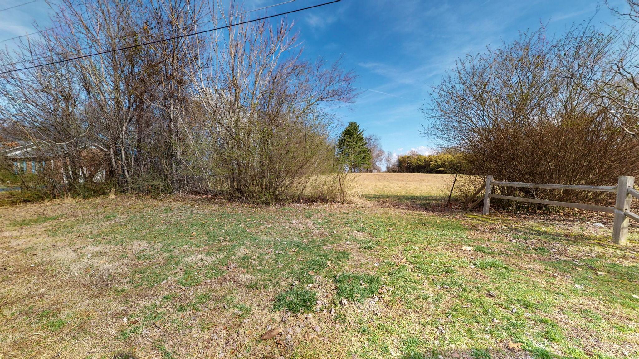 Image 4 Image 4