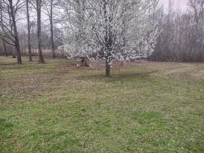 83 Lakeside Ln