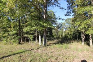 0 Dunaway Ridge Rd