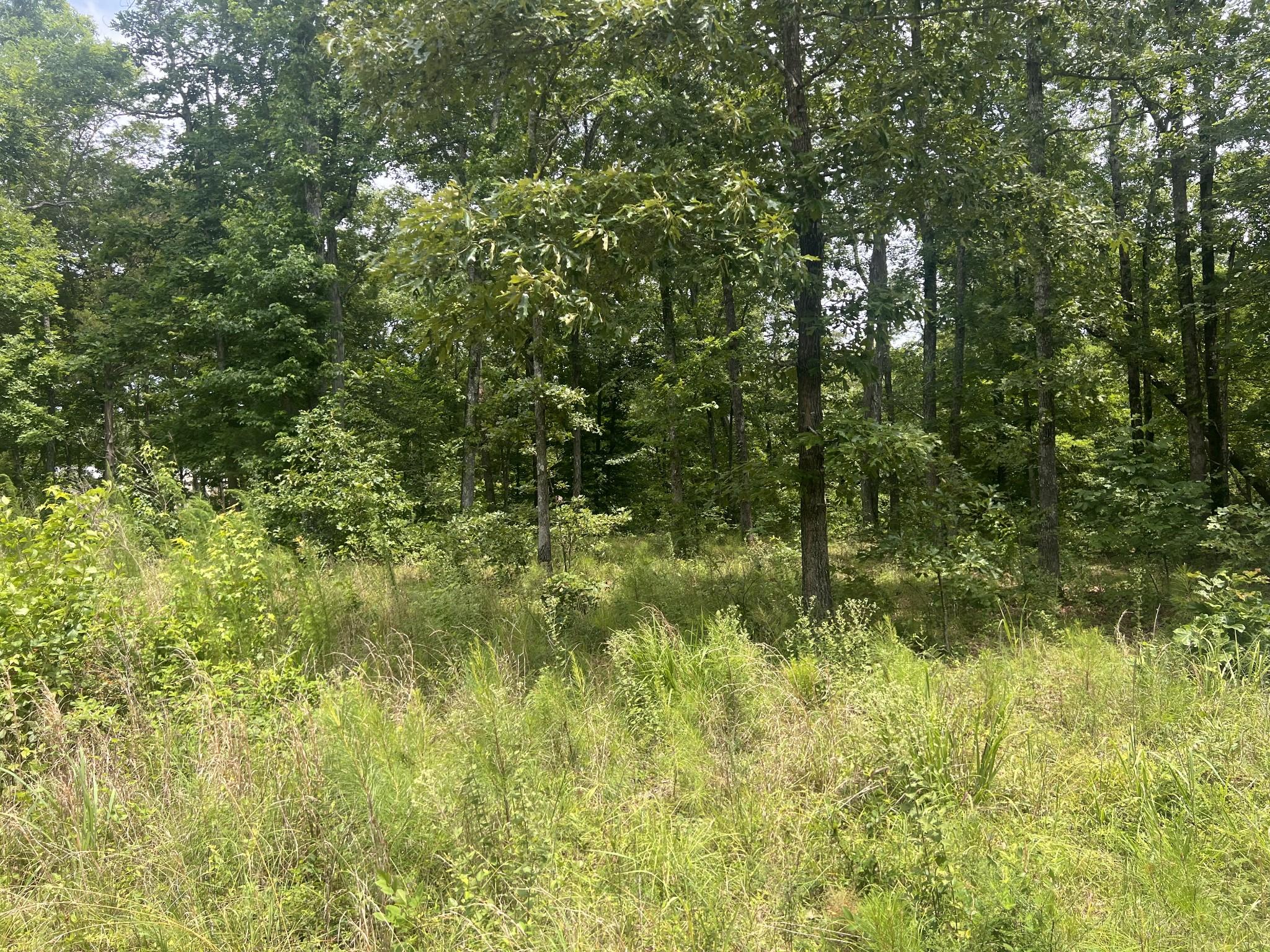 Image 4 Image 4