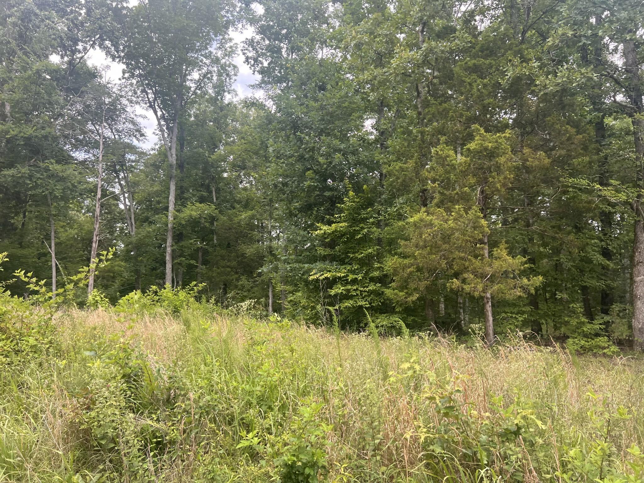 Image 2 Image 2
