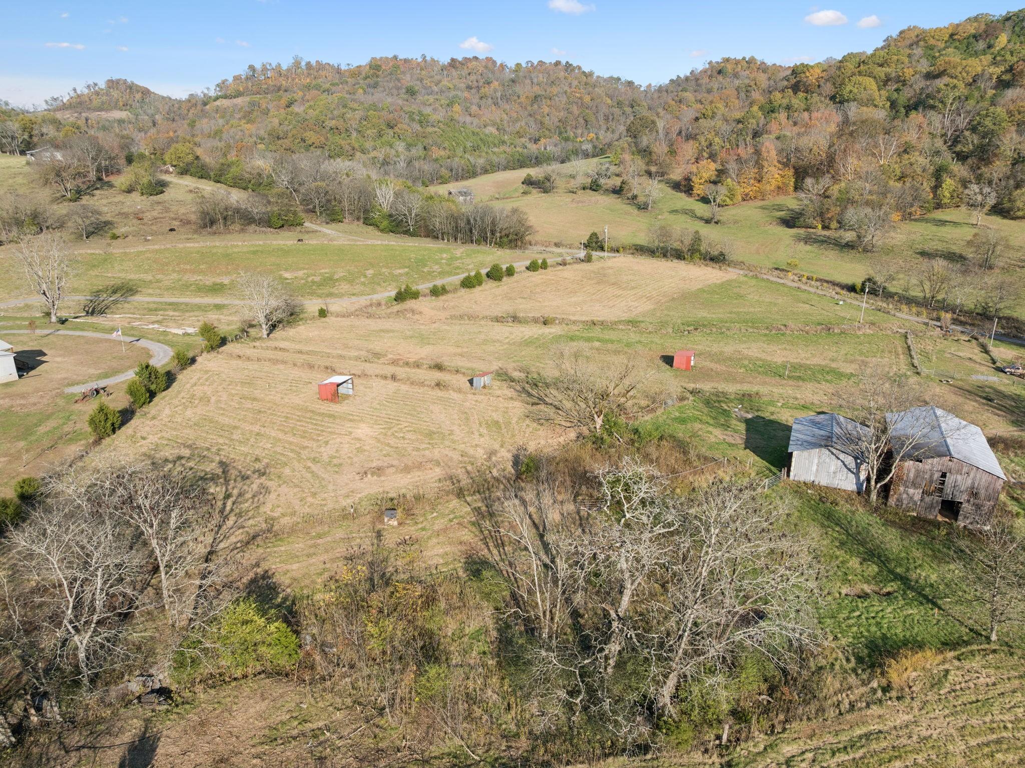 Image 1 Image 1