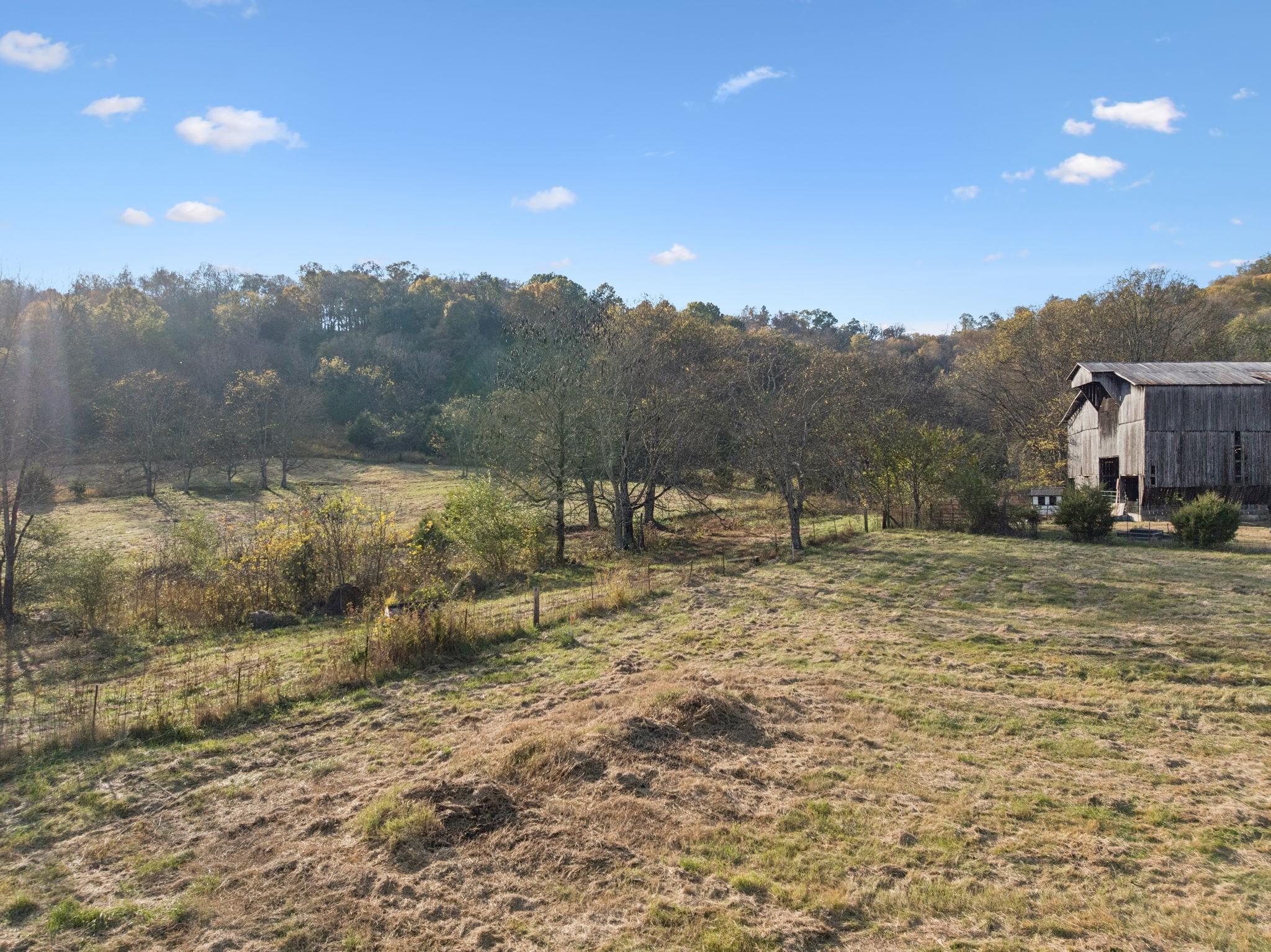 Image 4 Image 4