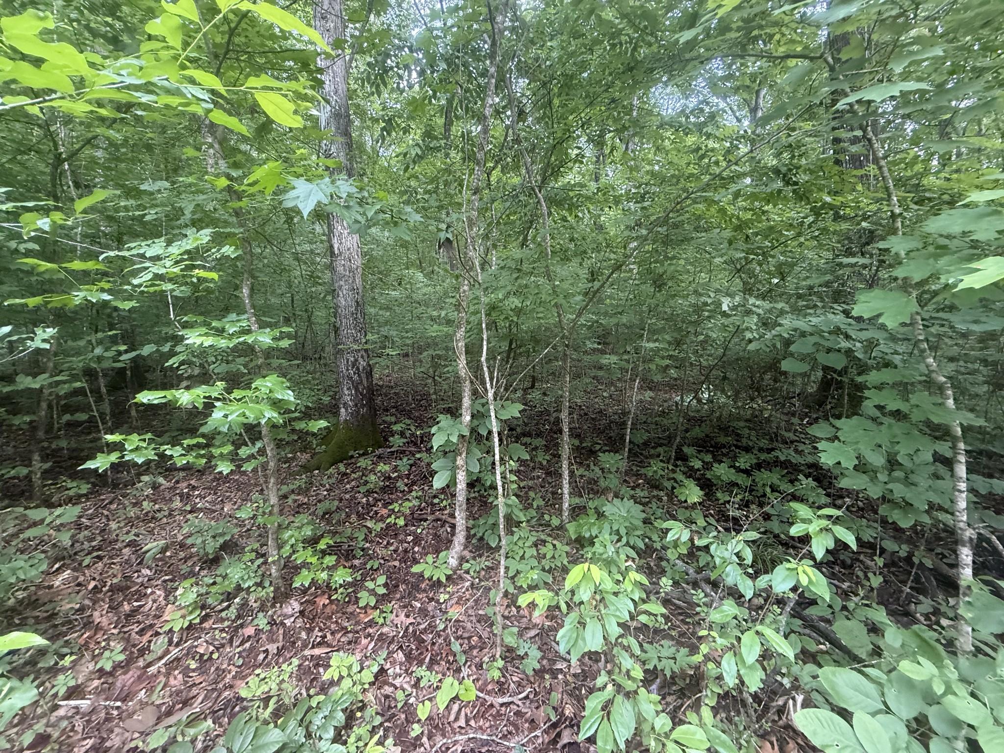 Image 2 Image 2
