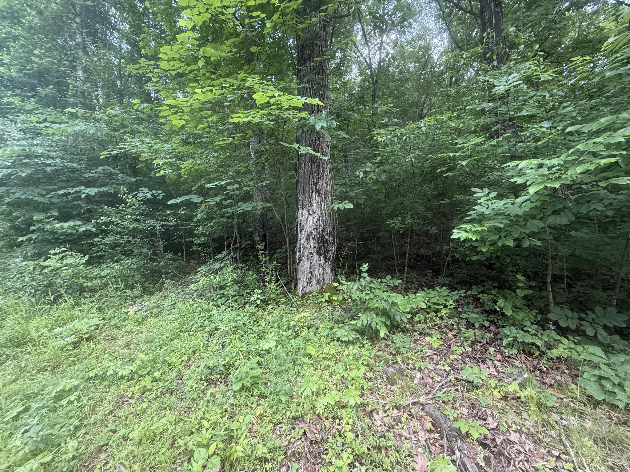 Image 3 Image 3