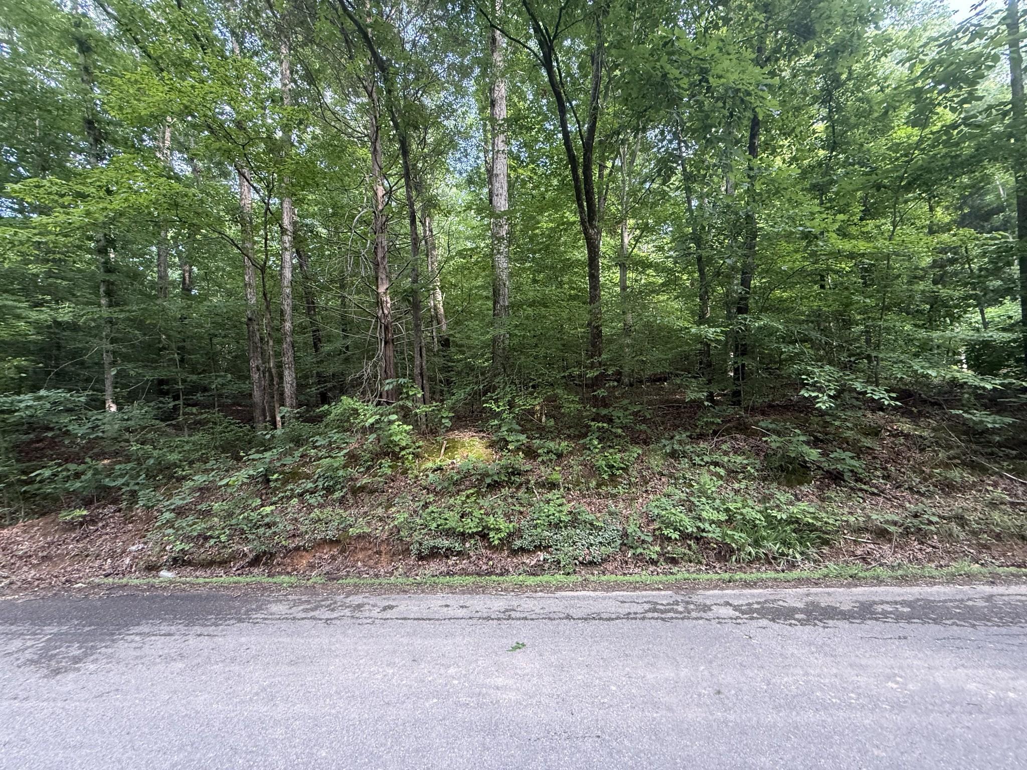 Image 1 Image 1