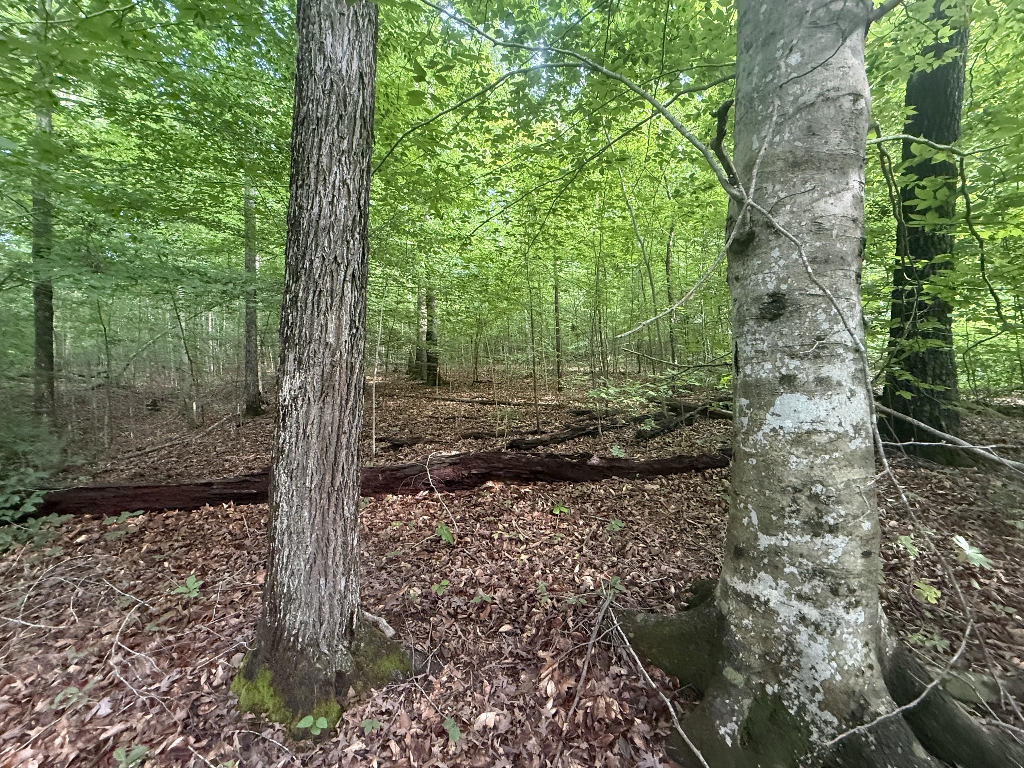Image 3 Image 3