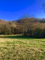 0 Beasley Hollow Ln