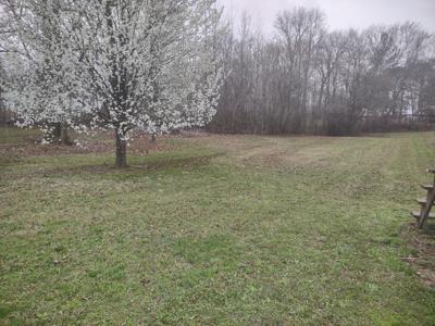 95 Lakeside Ln
