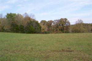 15 Cane Crk Cummingsville Rd