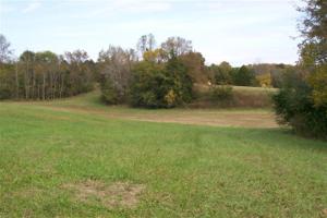 16 Cane Creek Cummingsville R